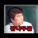 행화촌 금실이(나훈아 &#39;감나무골&#39;의 원곡) 이미지