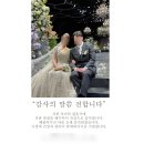 예니스트(Yenyst) | 호텔수성 블레스홀 본식 후기_대구아이폰스냅 촬영&수령후기_(세렌디스냅/내돈내산/속눈썹연장_예니스트)