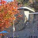 영남알프스 복합웰컴센터 알프스시네마(1,2관) 이미지