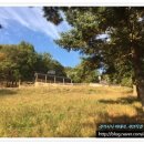 태화 목장 이미지