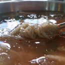 착한냉면 Daum카페