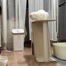 하드캐리PC방 | ☆ﾟ.*･｡26년의 2월 ｡.*･☆