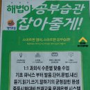 해냄영수학원 - 김포시 김포한강9로76번길 47 | 해냄영수학원