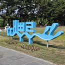야영장민박 | 인천 캠핑하기 좋은 소야도 때뿌루 야영장 정보