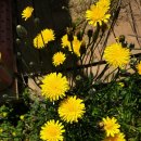 준이농장 이미지