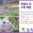 라데