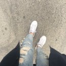 시쉬콜컬 이미지