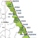 양남자전거