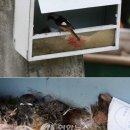 서면 월송3리 이미지