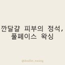피부의정석
