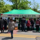 단양상회 이미지