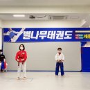 별나무태권도 이미지