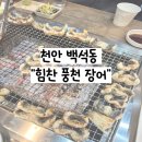 힘찬풍천장어 탕정점 | [일상기록] 천안 백석동 장어추천 힘찬 풍천 장어