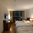 강아지미용실 정독 이미지