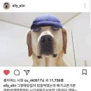 멍스타그램 - 화성시 동탄대로 677-12 | 멍스타그램