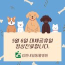 김천 내일동물병원 이미지