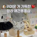 귀여운강아지 | 청라 애견용품샵 페리토에서 귀여운 강아지옷, 간식 구매한 후기
