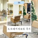 데이라 | 공주 신관동 미용실 추천 오브데이 자르다 염색 후기
