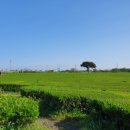 다정이네 이미지