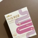 임산부 유산균 질유래 유산균 ‘이너윌 유산균‘ 후기