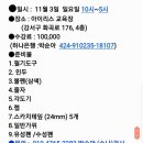 아이리스가발