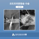 매탄동물병원 이미지