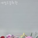 청주꽃배달 새청주꽃화원 생신꽃