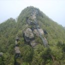 구포2동-5 이미지