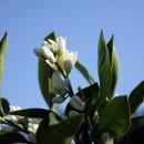 백옥농장 이미지