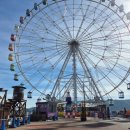 미정복어 | #시모노세키 둘째날,셋째날 3대가 하는 자유여행(놀이공원, 규슈 해협박물관, 복어요리 후기