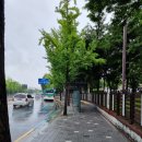 원두가땡긴다 이미지