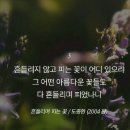 흔들리며 피는 꽃 이미지