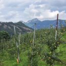 영봉농장 이미지