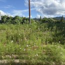 소솜민박 이미지