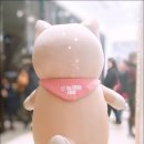 늘예뻐