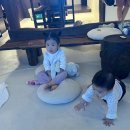 숙이해물칼국수 | 내돈내산/ 홍성 스테이그리다 펜션 (가족여행) 1박 후기