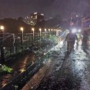 천지연로 이미지