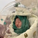 서울신내의원 | 사랑의 탄생