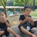 정문꼬마김밥 이미지