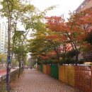 디아이빌아파트 이미지