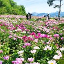 옥정호로 이미지