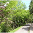 동구리 호수공원 이미지