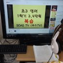 안젤라한솔영어