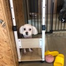 38점5도씨 이미지