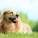 잠실동물병원 이미지