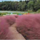 신흥근린공원 이미지