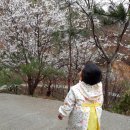 정원민박 - 포항시 북구 해안로2271번길 2 | 정원민박
