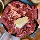 도토리짐(319) 이미지