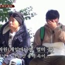 Finch(핀치) 네이버블로그