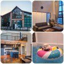 다소니펜션 | [고성 펜션 풀펫] 고성 애견동반 | 반려견동반 펜션 풀펫 후기